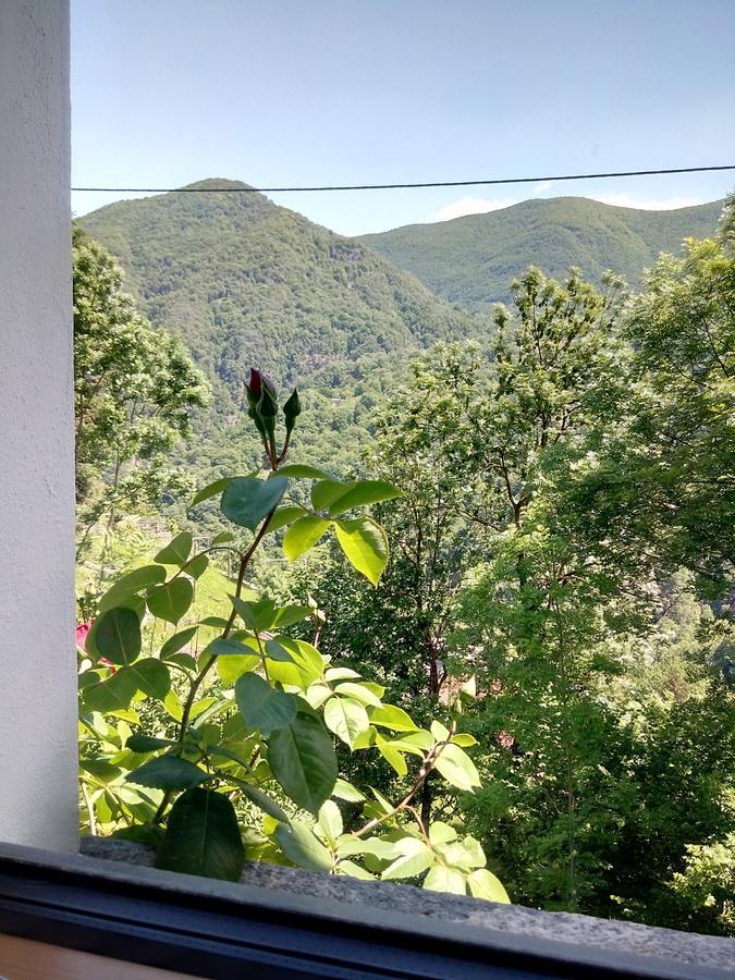 Rustico 